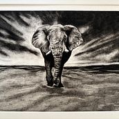 Elephant. Drawing, and Fine Arts project by magdalena_maria - 12.26.2024