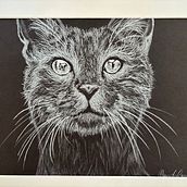 Cat. Drawing, and Fine Arts project by magdalena_maria - 12.26.2024