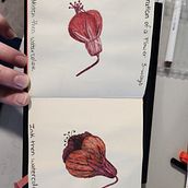Watercolor flower. Un progetto di Illustrazione tradizionale, Pittura ad acquerello, Illustrazione botanica e Sketchbook di kroconnor88 - 29.12.2024