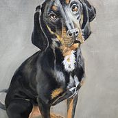 Leroy. Un progetto di Belle arti, Illustrazione naturalistica, Pittura ad olio e Pittura di Ellen Bonney - 30.12.2024