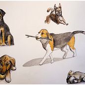 Abschlussprojekt Aufgaben des Onlinekurses *Spezialisierung in Sketching-Techniken*. Un projet de Esquisse , Illustration botanique, Illustration jeunesse, Illustration à l'encre, Illustration naturaliste, Illustration architecturale, Dessin artistique, Conception de personnages, Dessin aux cra, ons de couleur, Créativité, Dessin, Dessin anatomique, Beaux Arts, Peinture gouache, Dessin au cra, on, Dessin de portrait, Dessin réaliste, Illustration traditionnelle , et Aquarelle de Marleen Utech - 01.01.2025