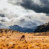 Mi proyecto del curso: Fotografía de paisaje y naturaleza. Un progetto di Composizione fotografica, Fotografia, Fotografia documentaria, Fotografia all'aperto e Fotografia per Instagram di Marcelo Torres Ramírez - 01.01.2025