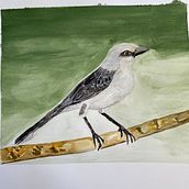 progreso. Traditional illustration, and Watercolor Painting project by Diana Ochoa - 01.02.2025