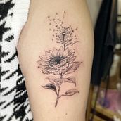 Girassol e dente de leão . Un proyecto de Dibujo, Ilustración tradicional y Diseño de tatuajes de Camila Caldas Saito - 02.01.2025