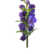 Tojad/ aconite. Un proyecto de Ilustración digital, Diseño gráfico y Dibujo de Kaja Kosiorowska - 02.01.2025