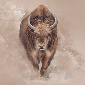 Spirit of the west. Un progetto di Illustrazione digitale di Mary-Pier St-laurent - 03.01.2025