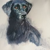 perro en difuso. Un progetto di Disegno realistico, Illustrazione tradizionale, Illustrazione naturalistica e Pittura ad acquerello di Luis Venegas - 03.01.2025
