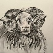 projet au fusain. Drawing, Ink Illustration, Naturalistic Illustration, and Fine Arts project by sarondelph - 01.04.2025