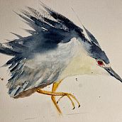 Aquarelles naturalistes expressive avec du caractère. Un progetto di Illustrazione tradizionale, Illustrazione naturalistica e Pittura ad acquerello di logarcat - 05.01.2025