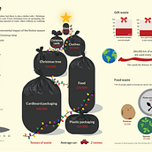 Christmas Waste Infographic. Graphic Design, Infographics, Information Design & Interactive Design project by iris-pot - 01.06.2025
