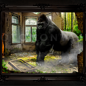 Gorila. Photograph, Photograph, Post-production, Photo Retouching, Fine-Art Photograph, Photographic Composition, Photomontage, and VFX project by iliaru - 01.08.2025
