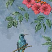 Hummingbird and red trumpet vine. Botanical Illustration, Digital Illustration, Traditional illustration, Ink Illustration, Naturalistic Illustration, Painting, and Watercolor Painting project by Cher Cowan - 01.08.2025