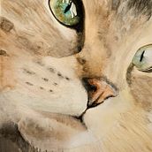 Mon premier chat à l'aquarelle. Realistic Drawing, Traditional illustration, Naturalistic Illustration, and Watercolor Painting project by Kevin Candusso - 01.10.2025