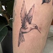 Colibrí. Un projet de Conception de tatouage de Valeria Rodriguez - 11.01.2025
