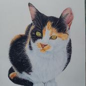 Mi proyecto del curso: Retratos de Mascotas en Lápices de Colores. Traditional illustration, and Naturalistic Illustration project by 01.alejagg - 01.13.2025