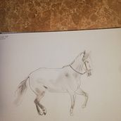 Dessin animal au crayon graphite . Figure Drawing, Pencil Drawing, Portrait Drawing, Sketchbook, and Sketching project by jasmine973 - 01.14.2025
