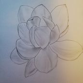 Fleur . Drawing project by jasmine973 - 01.16.2025