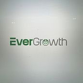 EverGrowth . % aldo_molina220202 tarafından hazırlanan İçerik Pazarlaması, Dijital Pazarlama, Facebook Pazarlama, Bü, üme Pazarlaması, Instagram Pazarlaması, Pazarlama, Mobil Pazarlama, Sos, al Med, Ve a projesi - 01.17.2025