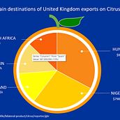 Graphic Visualization-UK citrus export. Graphic Design & Information Design project by iris_ocampo236 - 01.17.2025