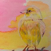 BIRDS. Sketchbook, Artistic Drawing, Colored Pencil Drawing, and Watercolor Painting project by Juliette Roché - 01.18.2025