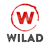 Presentación ¨Wilad Proyectos". Un proyecto de Br, ing e Identidad, Diseño gráfico, Diseño para Redes Sociales y Diseño Web de Jael Kuri Hernández - 19.01.2025
