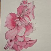 Sketching teckniques specialization . Schițe, Ilustrație botanică, Ilustrație pentru copii, Ilustrație cu cerneală, Ilustrație naturalistă, Ilustrație arhitecturală, Desen artistic, Desen în creion colorat, Creativitate, Desen, Figura Desen, Arte plastice, Pictură cu guașă, Desen în creion, Desen de portret, Desen realist, Ilustrație tradițională și Pictură în acuarelă de Cristina Rusu - 01.21.2025