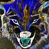 LOBOS ESTEPARIOS. Audio, Music, and Music Production project by Julián Alberto Hernández Aranzazu - 01.22.2025