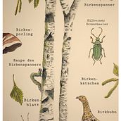 Abschlussprojekt vom Kurs *Botanische Aquarellmalerei von Naturmotiven*. Un projet de Illustration botanique, Beaux Arts, Illustration naturaliste, Peinture , et Aquarelle de Marleen Utech - 24.01.2025