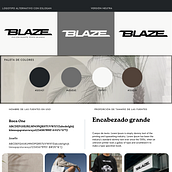 BRANDBOARD PARA LA MARCA BLAZE TRABAJO REAL. Br, ing, Identit, Design, Logo Design, and Graphic Design project by Andrea Virginia Hidalgo Muñoz - 01.24.2025