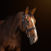 Mój projekt z kursu: Współczesna fotografia portretowa: zrób zdjęcia pełne głębi Ein Projekt aus dem Bereich Digitalfotografie, Artistische Fotografie, Beleuchtung für Fotografie, Fotografie, Porträtfotografie und Studiofotografie von Wiktoria Putz - 24.01.2025