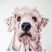 Anibal en lápices de colores. Traditional illustration, Drawing, and Colored Pencil Drawing project by Estefania De La Concha - 01.24.2025