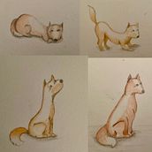 Las aventuras de un coyote. Un proyecto de Diseño de personajes, Ilustración infantil, Dibujo y Dibujo a lápiz de Ivette Castillejo - 25.01.2025