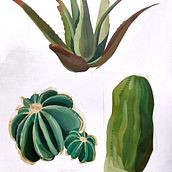 Succulents - Suculentas. Acr, lic Painting, and Painting project by Paula Jiménez - 01.27.2025