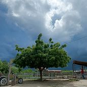 Paisagem natural. Photograph, Mobile Photograph, Product Photograph, Lifest, le Photograph, Instagram Photograph, Instagram, Marketing, Mobile Marketing, Advertising, and Social Media project by Carla Oliver - 01.29.2025