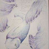 Modulaire vis. Drawing, Pencil Drawing, Artistic Drawing, Traditional illustration, Naturalistic Illustration, and Colored Pencil Drawing project by ammerie - 01.29.2025