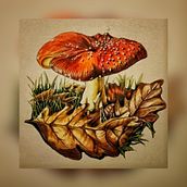 Nel bosco.. Un projet de Beaux Arts, Peinture, Illustration traditionnelle, Dessin, Aquarelle, Dessin au cra, on, Illustration jeunesse , et Narration de Claudia Foroni - 30.01.2025