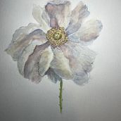 The White flower . Menggambar, Lukisan Cat Air, Mendongeng, Dan Kreativitas proyek oleh Ioanna Patroni - 02.01.2025