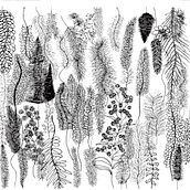 Ewé - Study 2. Sketching, Botanical Illustration, and Drawing project by Nailah I Sankofa - 02.01.2025