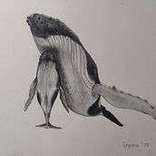 Ballenas jorobadas. Un progetto di Illustrazione naturalistica, Pittura, Pittura ad acquerello e Belle arti di gemmapadrosa - 02.02.2025