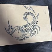 Diseño de escorpión. Tattoo Design, Traditional illustration, and Botanical Illustration project by Patricia Navarro Suárez - 02.08.2025