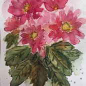 GERBERAS. Botanical Illustration, Traditional illustration, Painting, and Watercolor Painting project by Elisa Isabel Peña Núñez - 02.09.2025
