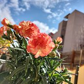 Sèries fotogràfiques de Cultura Audiovisual . Un proyecto de Fotografía de annaatw - 09.02.2025