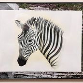 My African Zebra. Watercolor Painting project by Marilyn Allen - 02.10.2025
