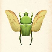 Proyecto de creación. Técnicas y estilos de ilustración con procreate. Projekt z dziedziny R, sunek c, frow, Trad, c, jna ilustracja, Ilustracja c i frowa użytkownika Carolina Rivera - 11.02.2025