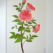 Oriental style paintings for the New Year. Botanical Illustration, Traditional illustration, Ink Illustration, Fine Arts, and Painting project by Diyana - 02.12.2025