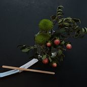 Winter still life. Photographic Composition, Photograph, and Digital Photograph project by Julia Kulikova - 02.12.2025