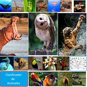 Clasificador de Animales. Web Development, Programming, Artificial Intelligence, and AI programming project by jorge_conciencia - 02.16.2025
