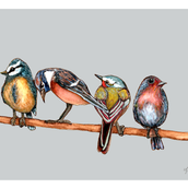 Birds on a branch. Traditional illustration, Watercolor Painting, Realistic Drawing, and Naturalistic Illustration project by Wendy Johnston - 02.16.2025