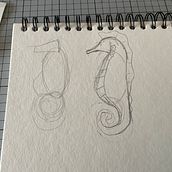 Hipocampo. Drawing project by analorenamato - 02.18.2025