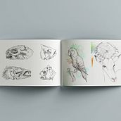 Proyecto final, Sketching diario como inspiración creativa. Un proyecto de Bocetado, Creatividad, Dibujo, Ilustración tradicional, Sketchbook, Ilustración naturalista				, Pintura a la acuarela e Ilustración con tinta de María Fernanda Ceballos Sánchez - 20.02.2025